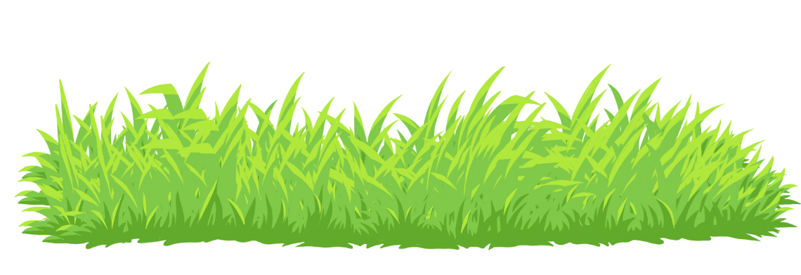 ground